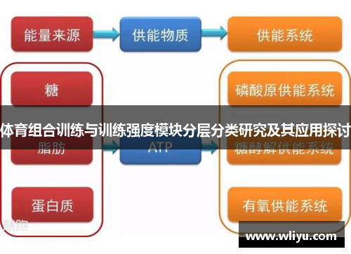 体育组合训练与训练强度模块分层分类研究及其应用探讨