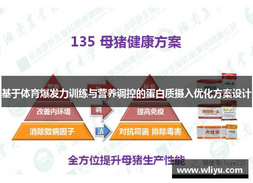 基于体育爆发力训练与营养调控的蛋白质摄入优化方案设计